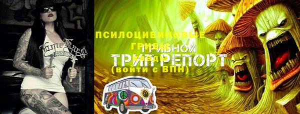 ECSTASY Богородицк