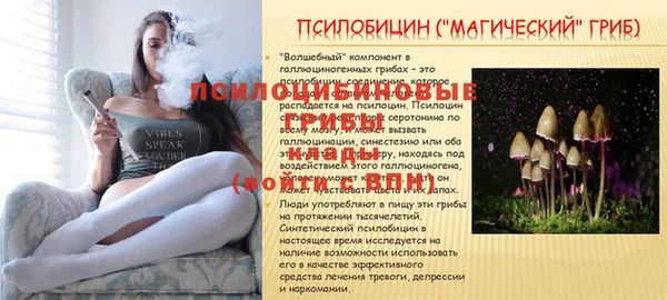 мяу мяу мука Беломорск