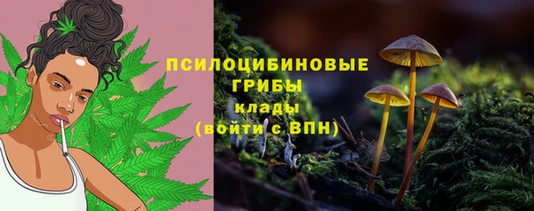 мяу мяу мука Беломорск